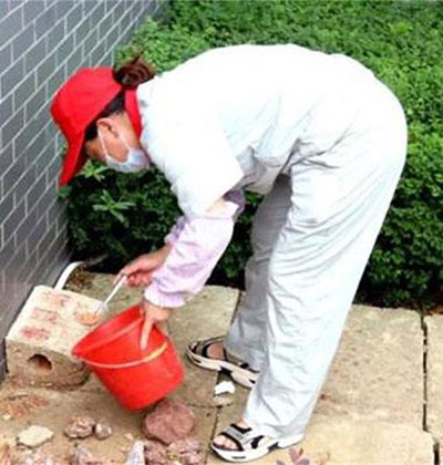 ?錦江區除四害，雙流區除四害