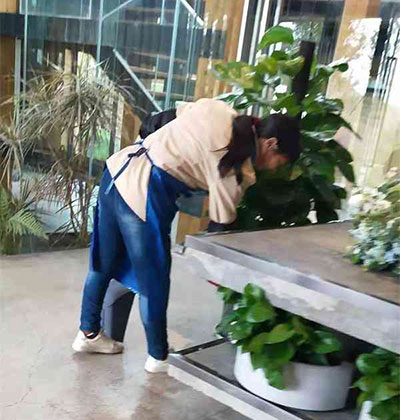 都江堰日常保潔，南充日常保潔，簡陽日常保潔，新都日常保潔